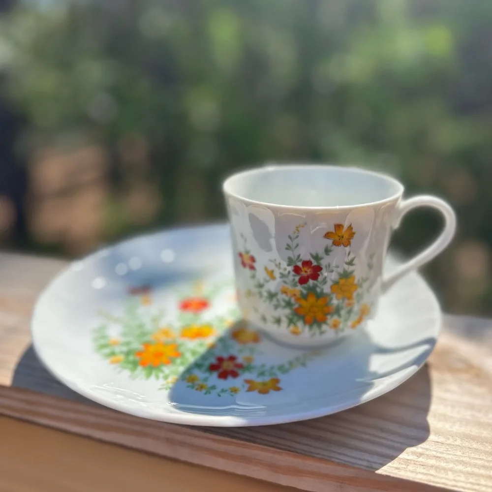 Hearthside Petit Floras Vintage S-1424 Japan Tea Cup and Plate